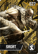 Sagat amiibo Card
